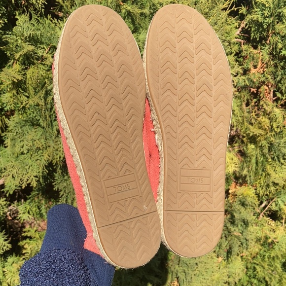 TOMS Lena Hibiscus Suede 7 Sneaker Shoe Women’s Size 8 - Picture 5 of 11